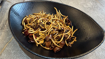 된장찌개에 곤충가루 ‘톡톡’…곤충식을 아시나요