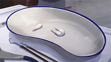 노화로 치아가 빠지는 ‘낙치’로부터 깨닫는 부드러움의 가치