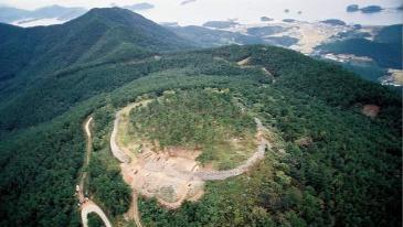 1196년 4월 9일 비둘기가 바꾼 정권