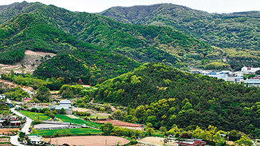 꽃차-명상에 몰린 사람들… 체류인구 늘자 산촌 살아났다