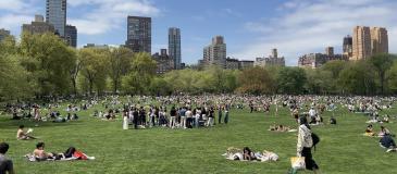 ‘센트럴 파크’부터 ‘포켓 파크’까지… 300개 공원 들어선 뉴욕 맨해튼