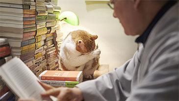 “고양이, 자기 삶에 충실… 절대 초조해하거나 안달복달하지 않아”