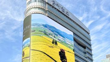 ‘룩스’에서 교차할 동서양의 소리… 광화문 소음도 ‘하모니’로
