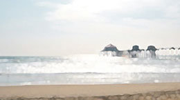 헌팅턴비치에 가면 네가 있을까[나민애의 시가 깃든 삶]〈340〉