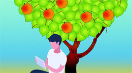 살구[나민애의 시가 깃든 삶]〈399〉