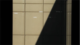 빛과 그림자[고양이 눈]