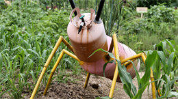 누구냐, 넌![고양이 눈]