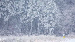 [포토 에세이]설국
