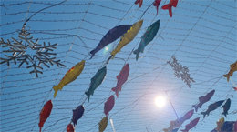 하늘 나는 산천어[고양이 눈]