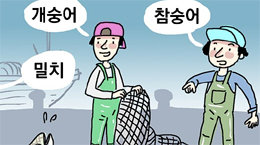 같은 이름의 다른 물고기[김창일의 갯마을 탐구]〈106〉