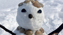 해변의 눈사람[고양이 눈]