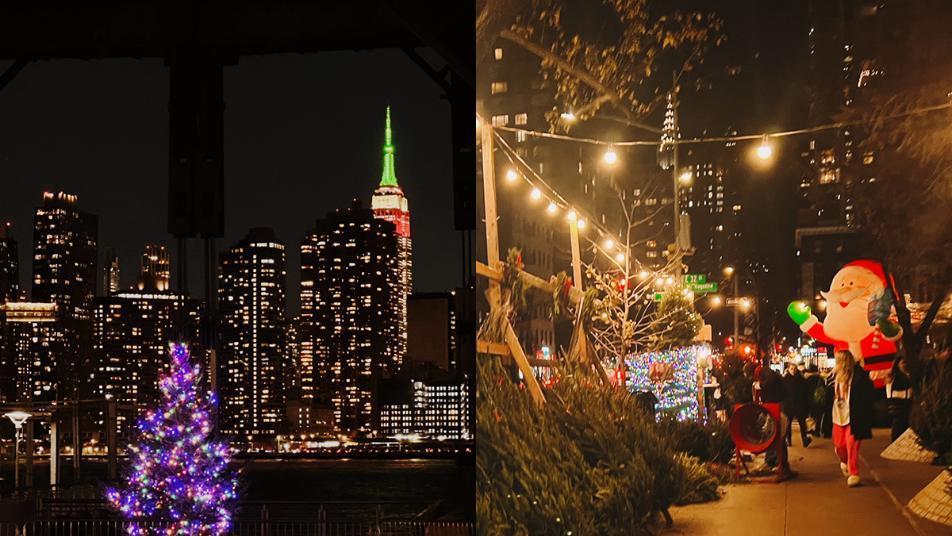 나무가 왔어요 [뉴욕의 순간]