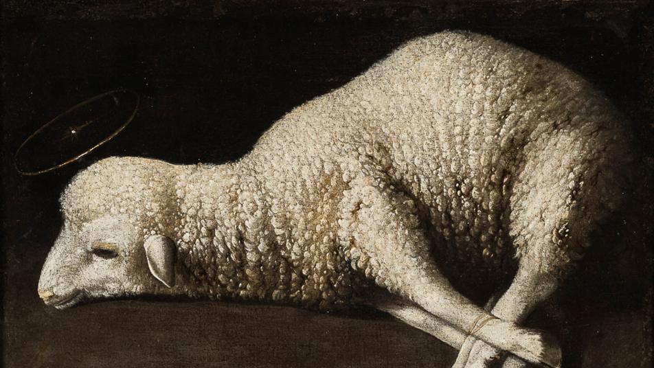 부들거리는 촉감… 세밀한 정물화인듯, 죽음 앞둔 어린양… 경건한 종교화인듯