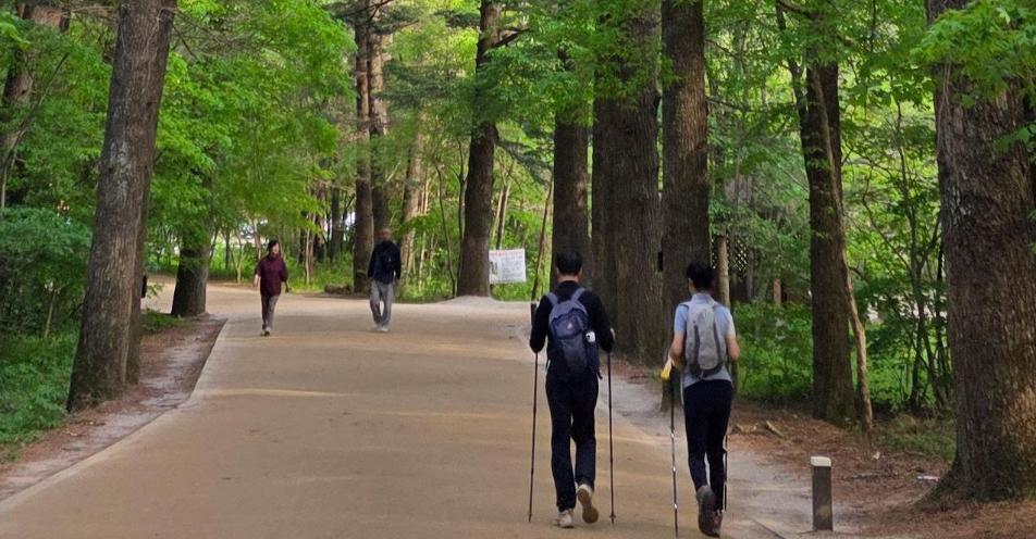 월정사의 봄, 비천상 여인과 함께… ‘달을 쓿다’[전승훈 기자의 아트로드]