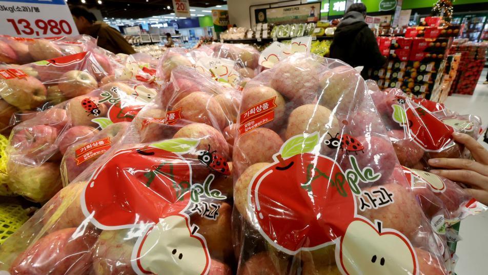 고환율에 무섭게 오른 물가…내년 장바구니 물가 ‘비상’