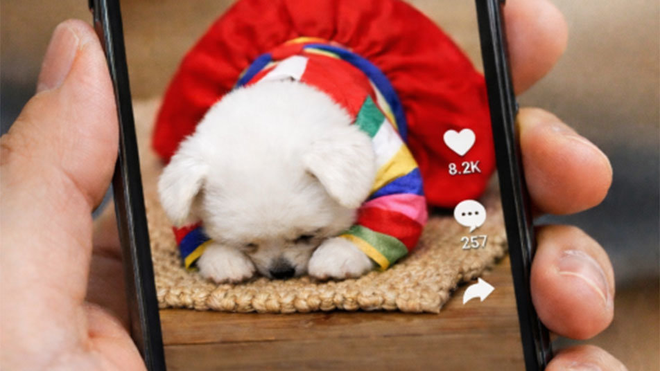 ‘구독자 600만’ 채널이 사라졌다…‘AI 슬롭’에 칼 빼든 빅테크들