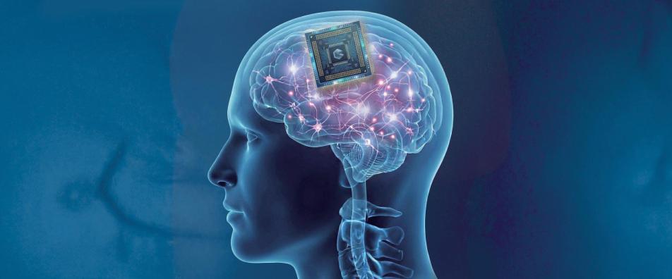 ‘뇌에 칩이식’ 성공한 中… 머스크 ‘뉴럴링크’ 맹추격