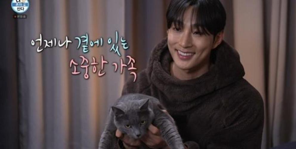 배나라 “유기묘 입양”…장롱 뚫어 캣타워까지 직접 제작