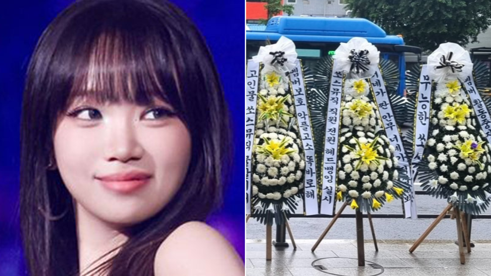 연예｜동아일보