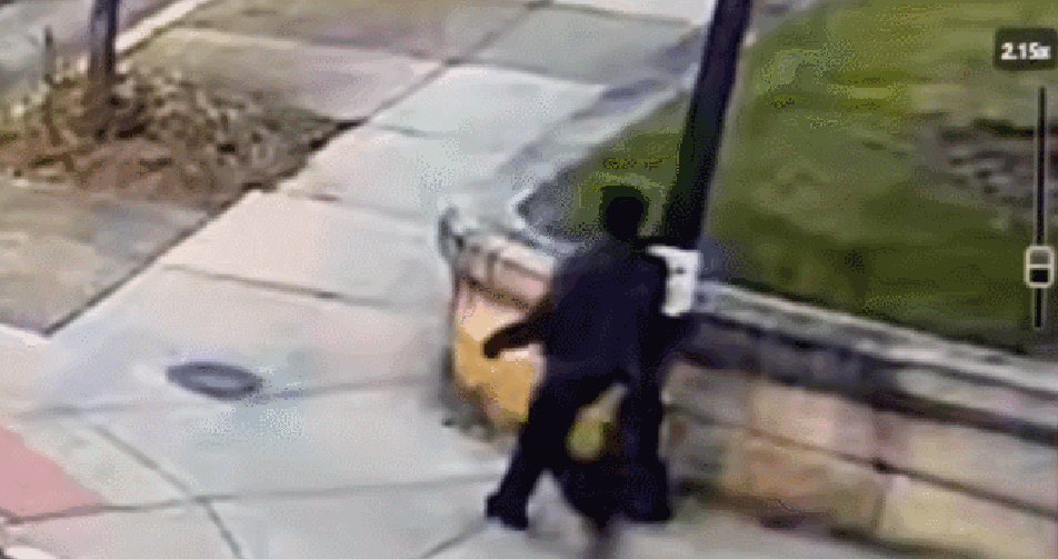 美 명문 브라운대 기말고사중 총격사건…2명 사망-9명 부상