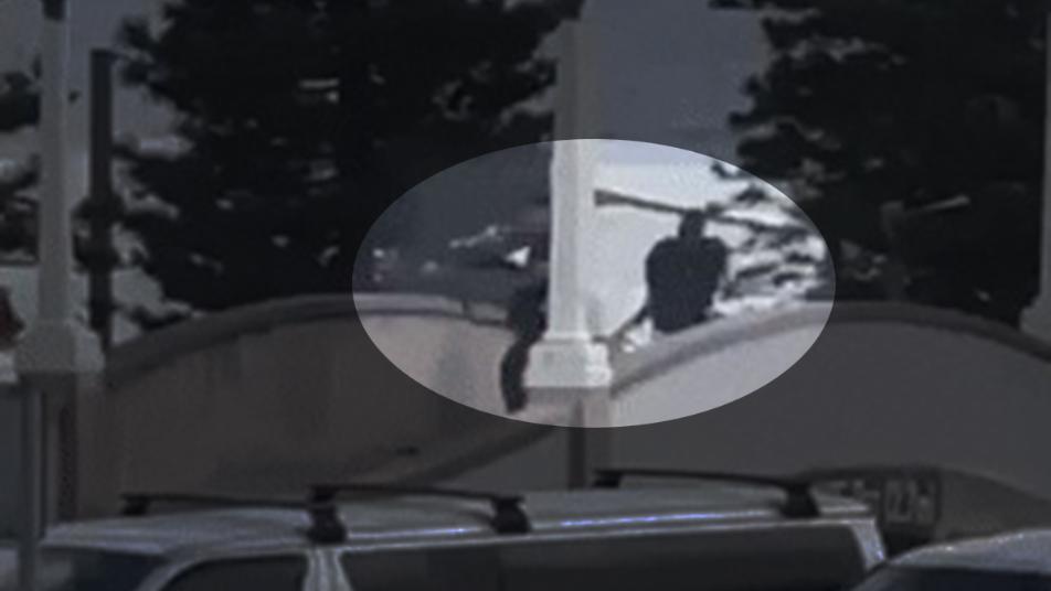 시드니 총기난사 용의자는 50세 아버지-24세 아들…사망 16명으로 늘어