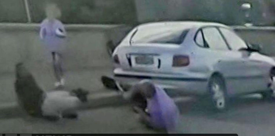 결혼 35주년 앞둔 부부, 호주 총격범 총 빼앗으려다 끝내…