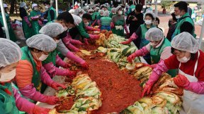 세계로 뻗는 한국 김치… 5조 원 시장, 2050년 15조 원 성장 전망