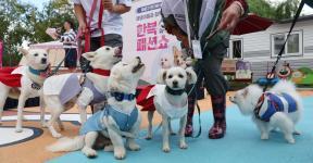 “한복 맵시 잘 봐주시개” [청계천 옆 사진관]