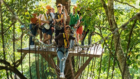 ‘장수 말벌’ 공격에 집라인 타던 미국인 부자, 라오스서 사망