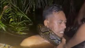 6m 비단뱀에 휘감겨 물속으로 끌려간 남성…‘기적의 생존’