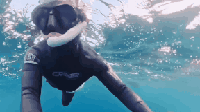 “잡아먹히는 줄”…혹등고래 마주친 다이버의 아찔한 순간