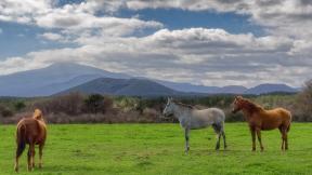 놀멍 쉬멍 걸으멍… 에메랄드빛 길에 ‘멍’해졌습니다