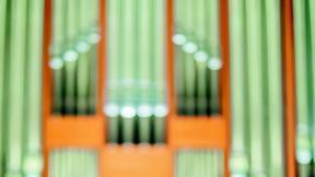 “슬로베니안만의 깊은 선율에 빠져보세요”