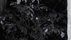 최준희, 뼈 모양 고스란히…검은 드레스 입고 아이돌 미모