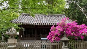 日서 해체 환수된 관월당 부재 공개…100년 귀환의 기록