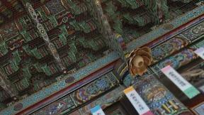 ‘호날두 전 연인’ 이리나 샤크, 한국 여행…“서울이 내 마음 훔쳤다”