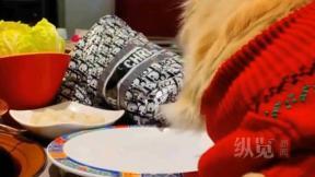 中 식당서 반려견에 접시 위 음식 준 女 논란…결국 법적 대응