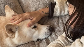 이효리 부부 “구아나가 떠났습니다”…15년 반려견과 작별