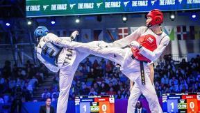 씨름 이어 태권도도… 유네스코 남북 공동 등재 추진