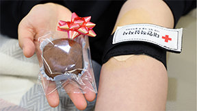 ‘두쫀쿠’ 효과 톡톡…헌혈 356→1002명