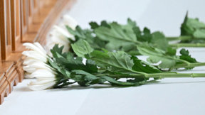 “공장식 장례 이제 그만, 생전에 잔치 형식 등 혁신적 방안 도입 필요”