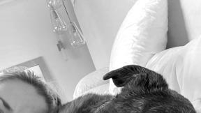 쓰러진 스키 여제 린지 본, 같은 날 반려견도 하늘로