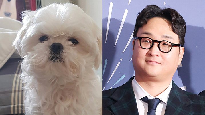 ‘나혼산’ 꽃분이, 무지개다리 건넜다…구성환 “미안하고 사랑해”