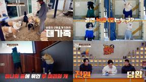 “제작진도 물렸다”…반려견 5마리 가정에 강형욱 특단 조치