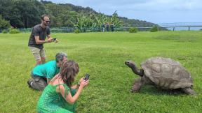 ‘193세 최고령 거북이’ 사망 소식은 가짜?…“만우절 장난도 아닌 사기”