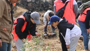 제주 비양도 ‘올리브 섬’으로 변신…한국관광공사, 지속가능 해양관광 구축