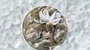 다이어트에 좋은 봄 주꾸미