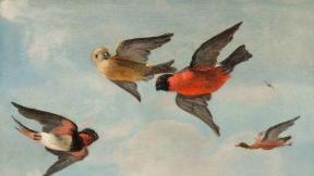 생동감 넘치는 원숭이와 새… 후대 작가들의 교과서