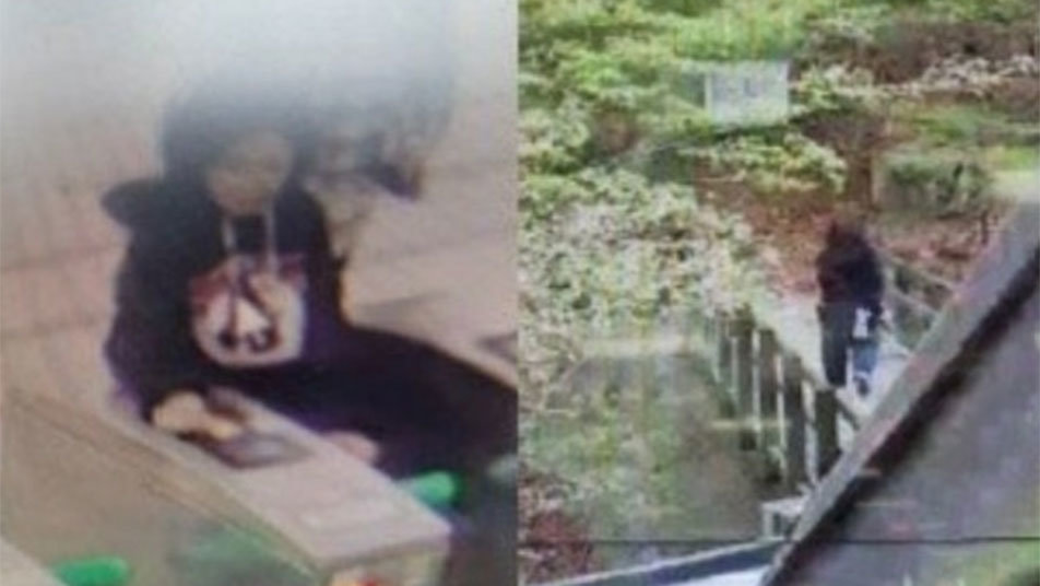 출근 않고 홀로 북한산 오른 실종 여성, 28일 만에 숨진 채 발견