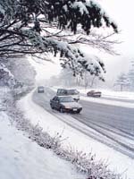 대관령 거북걸음